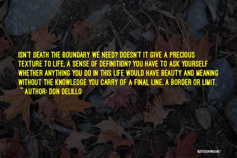 Definition Of Beauty Quotes By Don DeLillo