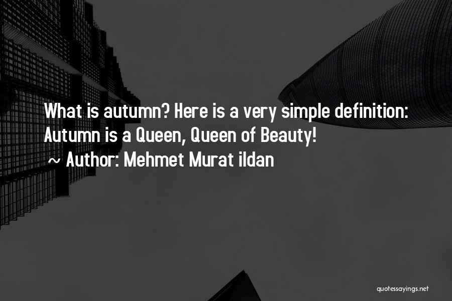 Definition Of Beauty Quotes By Mehmet Murat Ildan