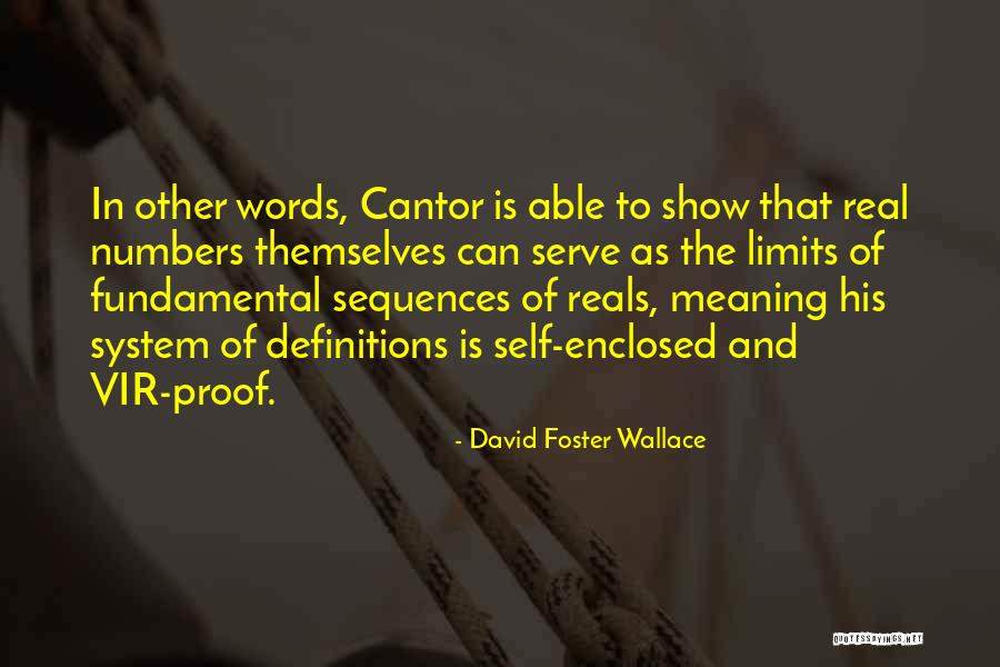 Definitions Quotes By David Foster Wallace