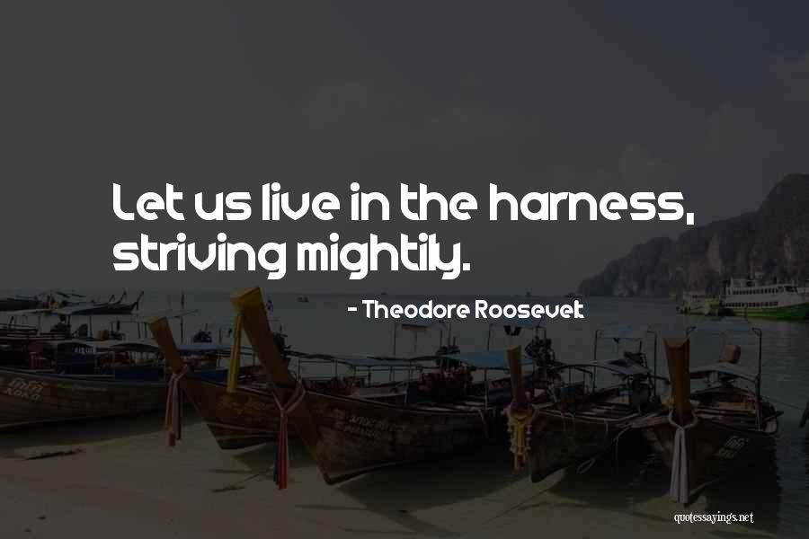 Deflator Quotes By Theodore Roosevelt Deflator Quotes By Theodore Roosevelt