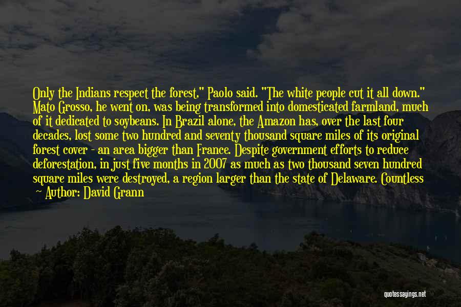 Deforestation Quotes By David Grann