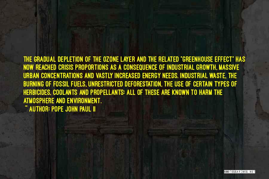 Deforestation Quotes By Pope John Paul II