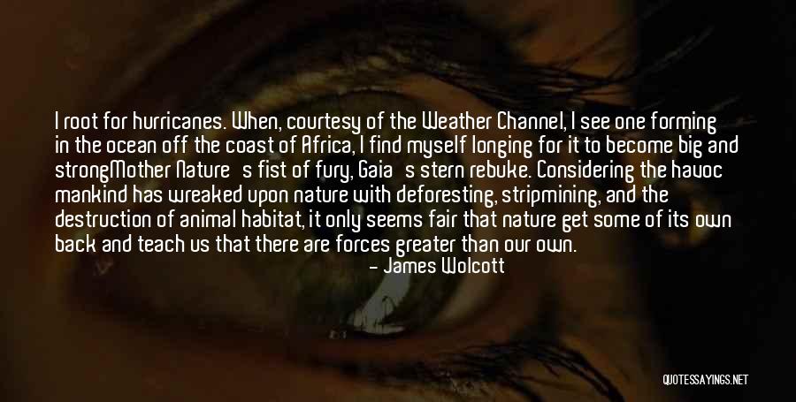 Deforesting Quotes By James Wolcott Deforesting Quotes By James Wolcott
