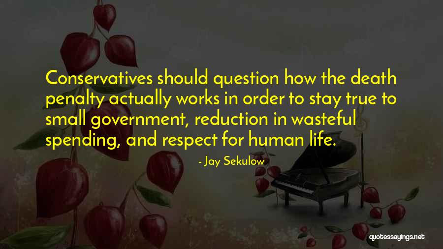 Defrank Appliances Quotes By Jay Sekulow Defrank Appliances Quotes By Jay Sekulow