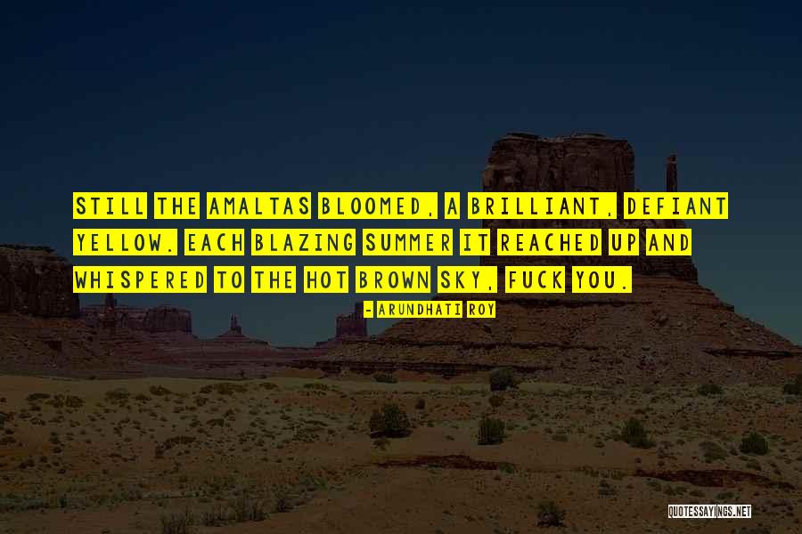 Defraudador Quotes By Arundhati Roy Defraudador Quotes By Arundhati Roy