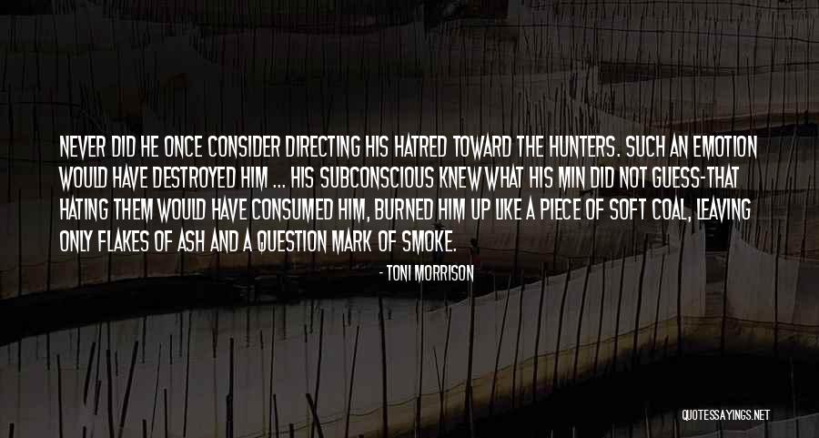 Defusco Tools Quotes By Toni Morrison Defusco Tools Quotes By Toni Morrison