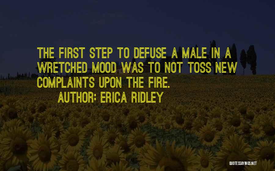 Defuse Quotes By Erica Ridley