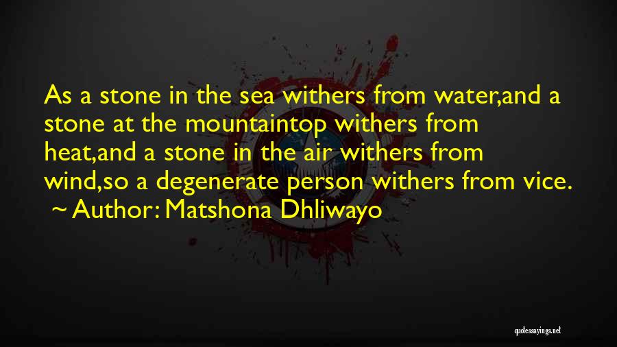 Degenerate Quotes By Matshona Dhliwayo