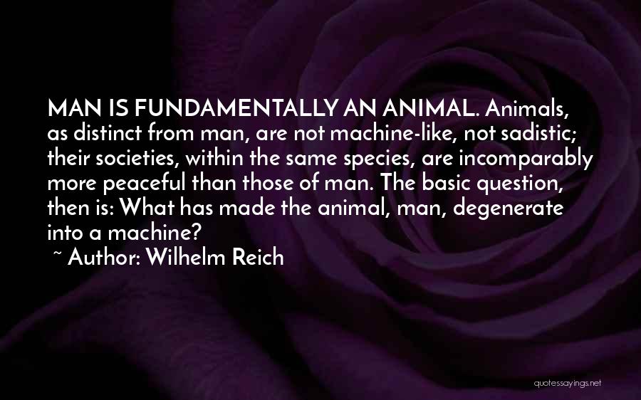 Degenerate Quotes By Wilhelm Reich