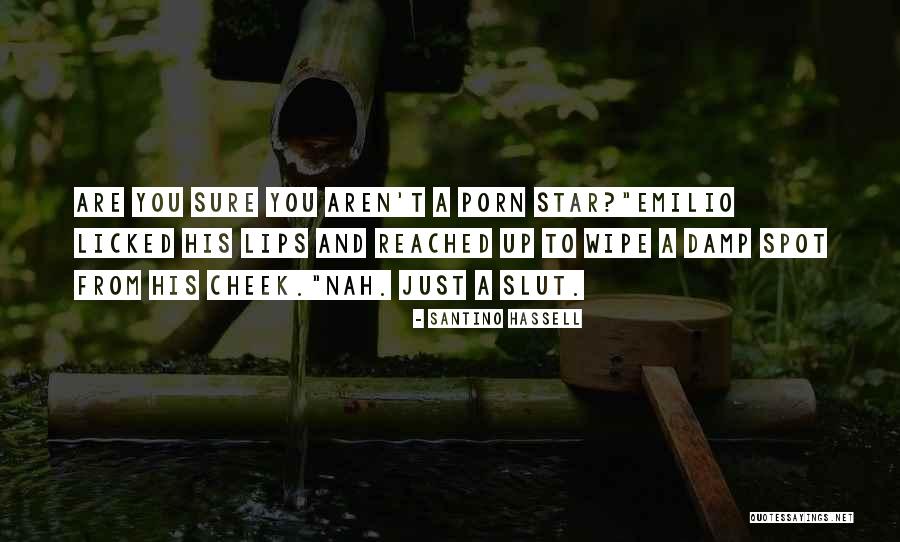 Degottex Quotes By Santino Hassell Degottex Quotes By Santino Hassell