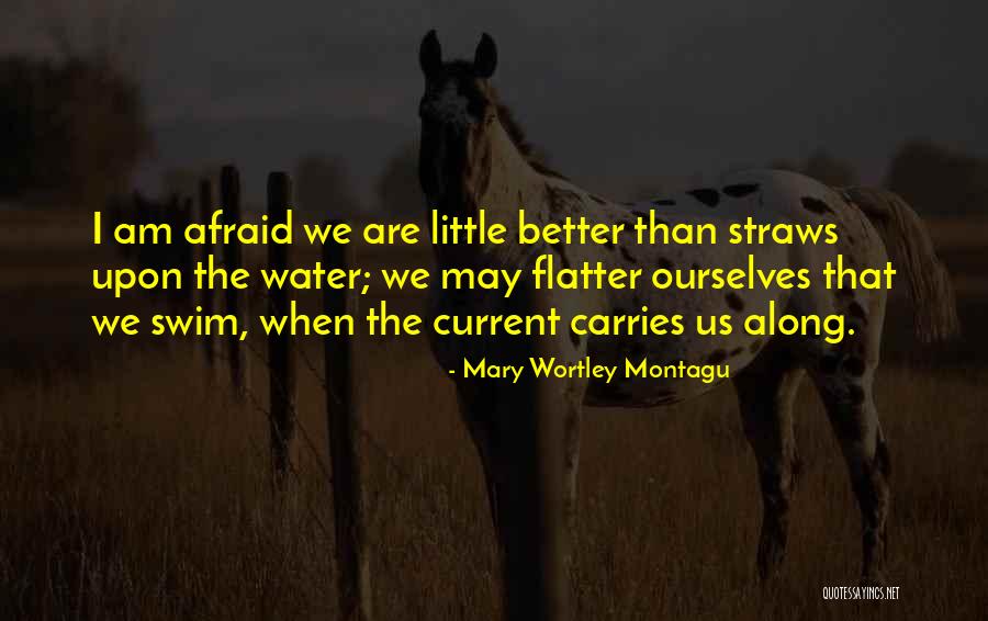 Degradasi Protein Quotes By Mary Wortley Montagu Degradasi Protein Quotes By Mary Wortley Montagu