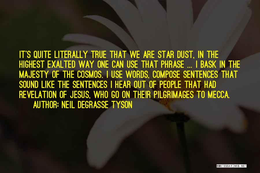 Degrasse Tyson Cosmos Quotes By Neil DeGrasse Tyson