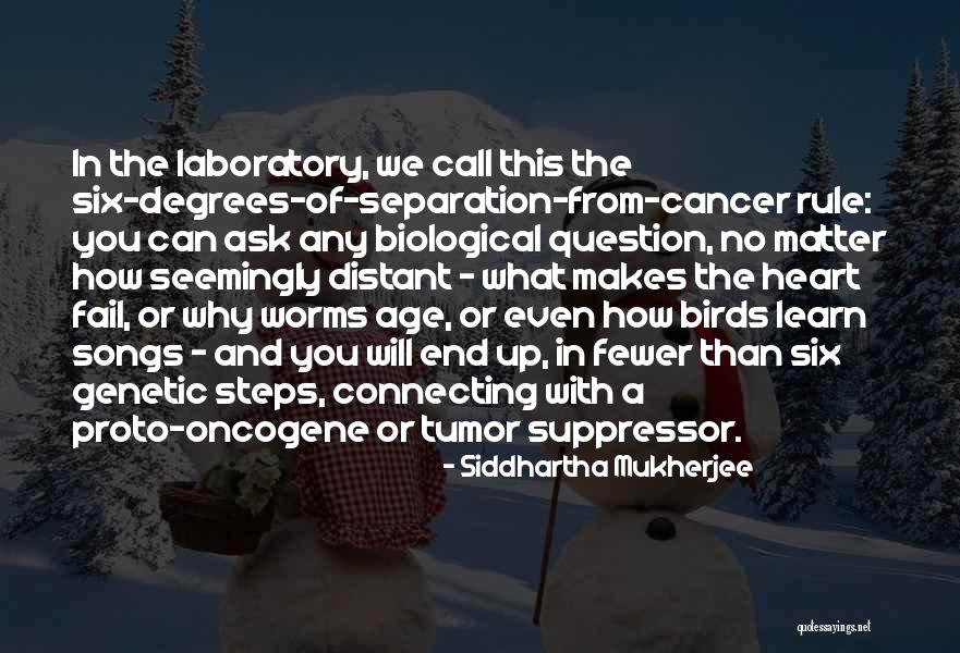 Degrees Of Separation Quotes By Siddhartha Mukherjee Degrees Of Separation Quotes By Siddhartha Mukherjee