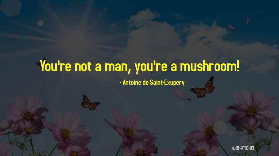 Degroot Logistics Quotes By Antoine De Saint-Exupery Degroot Logistics Quotes By Antoine De Saint-Exupery
