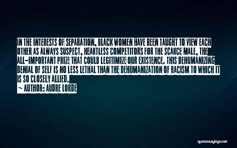 Dehumanization Quotes By Audre Lorde