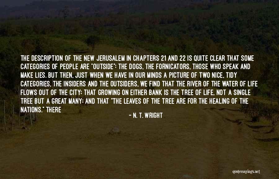 Dehumanize Quotes By N. T. Wright