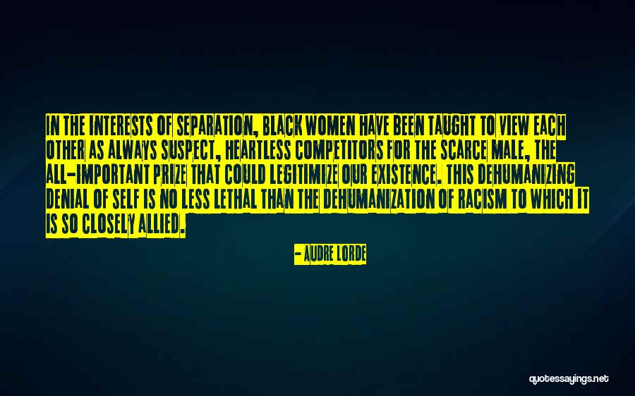 Dehumanizing Women Quotes By Audre Lorde Dehumanizing Women Quotes By Audre Lorde