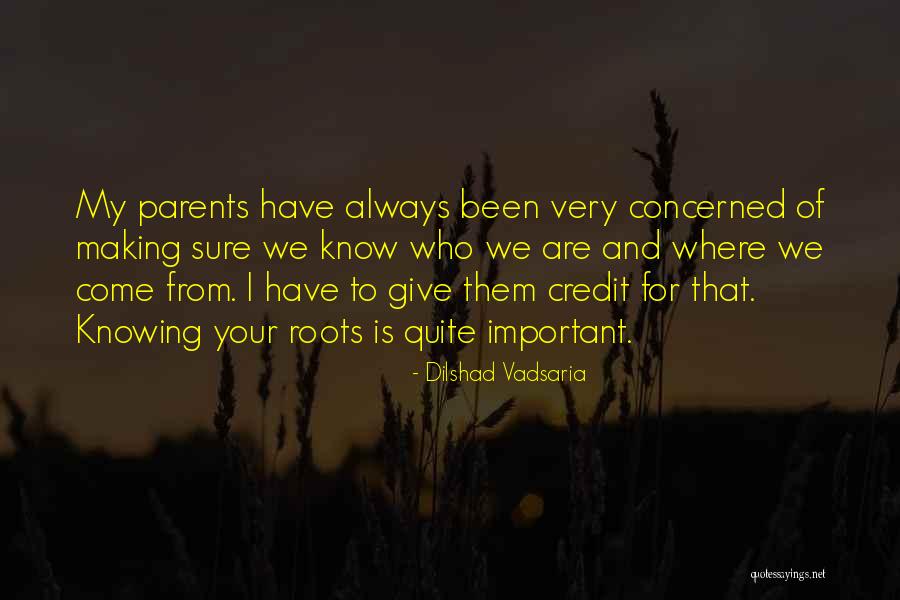 Deicing Planes Quotes By Dilshad Vadsaria Deicing Planes Quotes By Dilshad Vadsaria