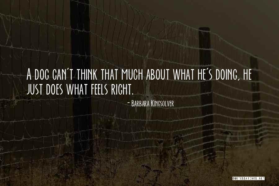 Deidrick Wise Quotes By Barbara Kingsolver Deidrick Wise Quotes By Barbara Kingsolver