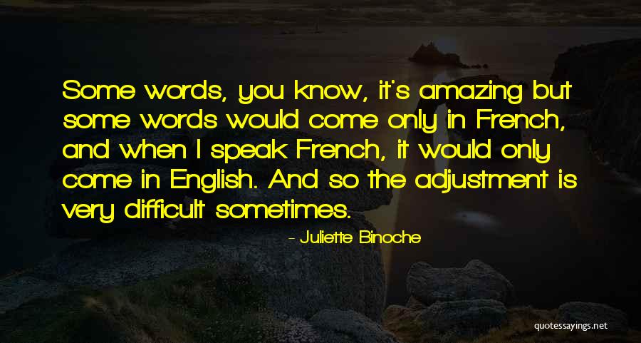 Deimel Guitars Quotes By Juliette Binoche