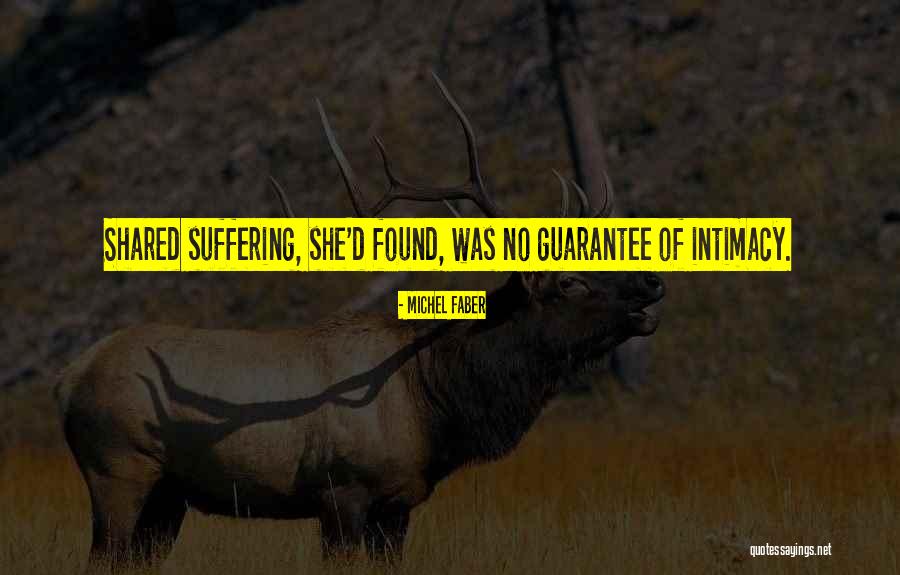 Deinstitutionalization History Quotes By Michel Faber Deinstitutionalization History Quotes By Michel Faber