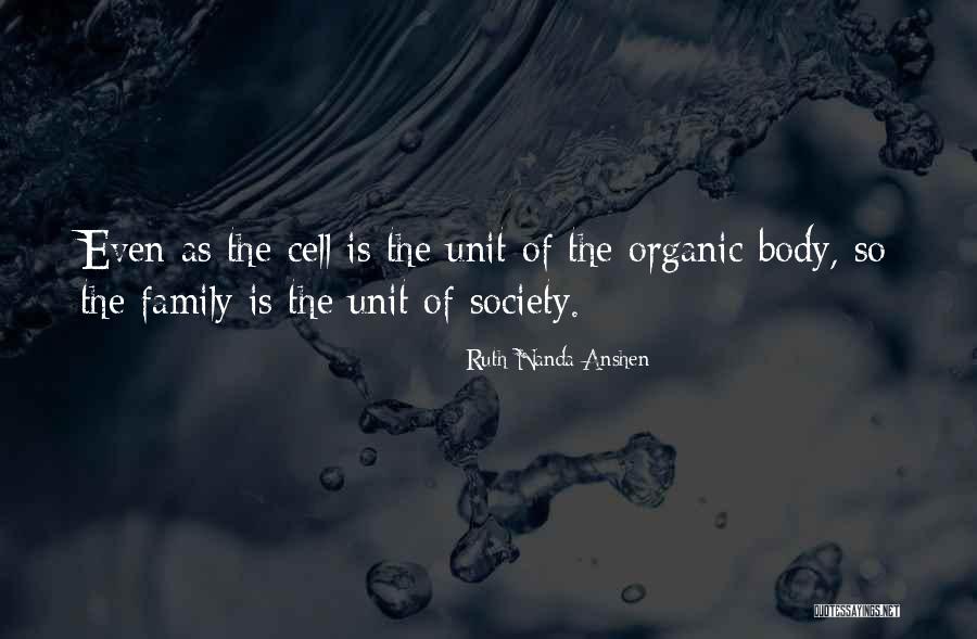 Deir Yassin Quotes By Ruth Nanda Anshen Deir Yassin Quotes By Ruth Nanda Anshen