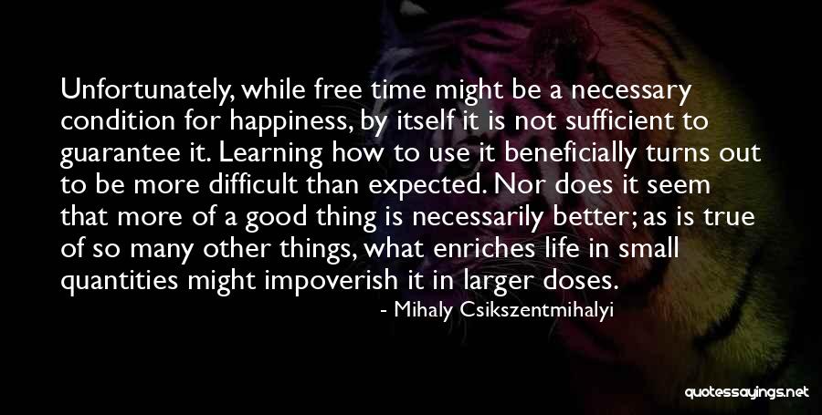 Deister Quotes By Mihaly Csikszentmihalyi Deister Quotes By Mihaly Csikszentmihalyi