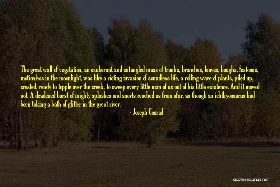 Dejadez Significado Quotes By Joseph Conrad Dejadez Significado Quotes By Joseph Conrad