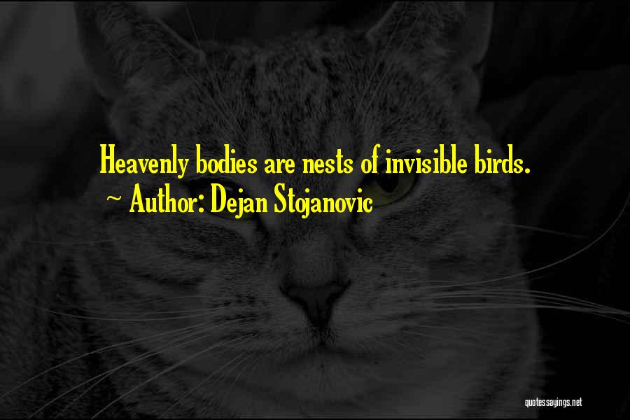 Dejan Stojanovic Quotes 1833157