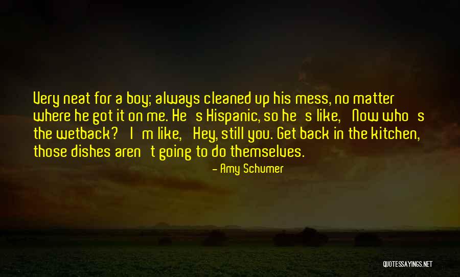 Dejana Kings Quotes By Amy Schumer Dejana Kings Quotes By Amy Schumer