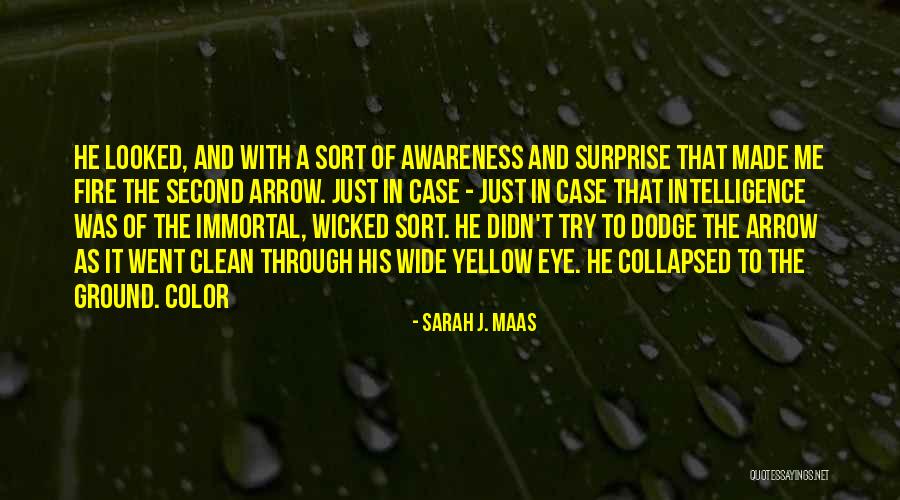 Dejando El Quotes By Sarah J. Maas Dejando El Quotes By Sarah J. Maas