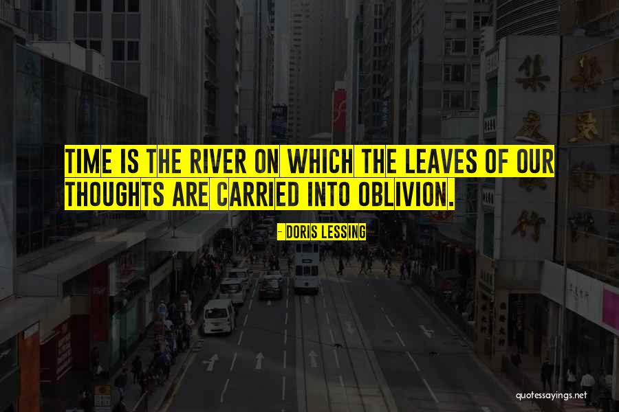 Dejdar Martin Quotes By Doris Lessing Dejdar Martin Quotes By Doris Lessing