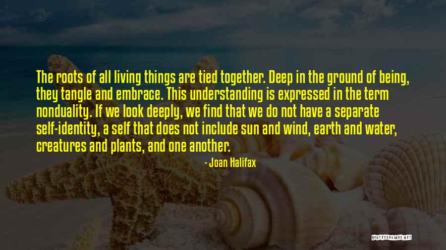Dejdar Parfem Quotes By Joan Halifax Dejdar Parfem Quotes By Joan Halifax