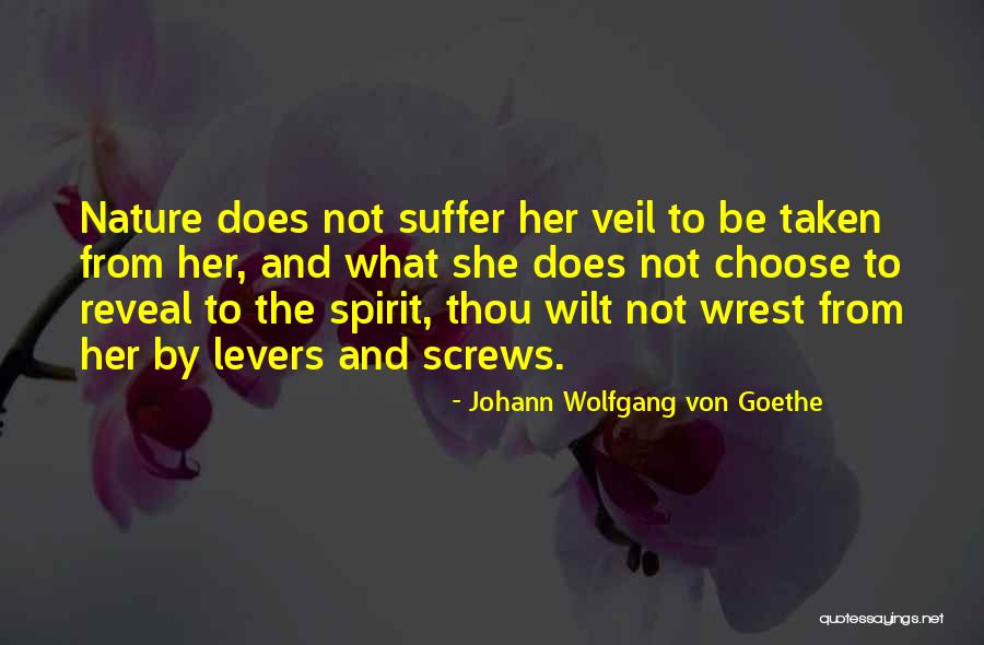 Dejoseph Obituary Quotes By Johann Wolfgang Von Goethe Dejoseph Obituary Quotes By Johann Wolfgang Von Goethe