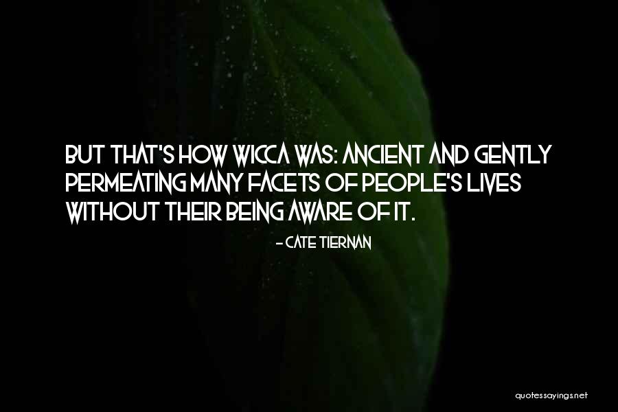 Dekalb County Quotes By Cate Tiernan Dekalb County Quotes By Cate Tiernan