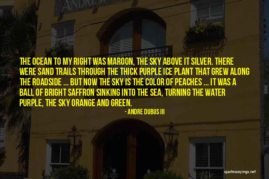 Dekempers Quotes By Andre Dubus III Dekempers Quotes By Andre Dubus III