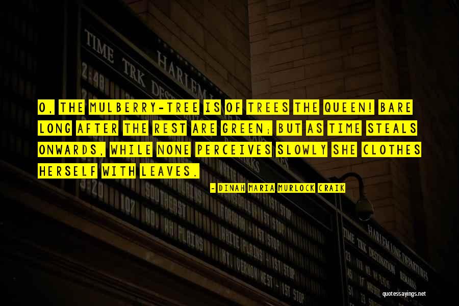 Del Bosque Farms Quotes By Dinah Maria Murlock Craik Del Bosque Farms Quotes By Dinah Maria Murlock Craik