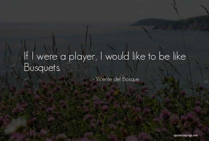 Del Bosque Quotes By Vicente Del Bosque Del Bosque Quotes By Vicente Del Bosque