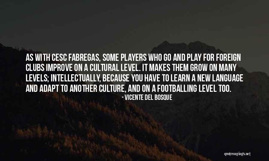 Del Bosque Quotes By Vicente Del Bosque Del Bosque Quotes By Vicente Del Bosque