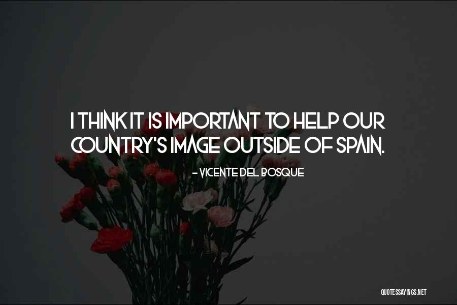 Del Bosque Quotes By Vicente Del Bosque Del Bosque Quotes By Vicente Del Bosque