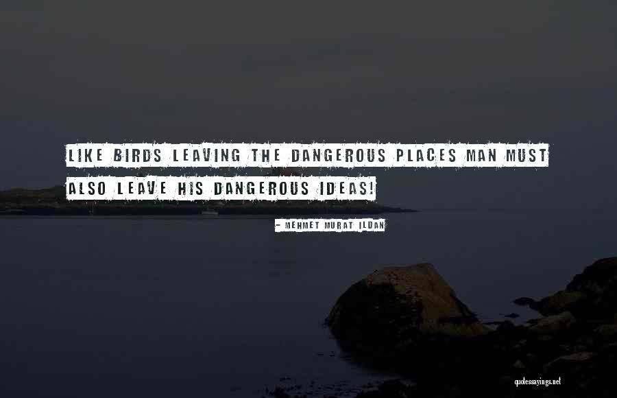 Del Buono Quotes By Mehmet Murat Ildan Del Buono Quotes By Mehmet Murat Ildan