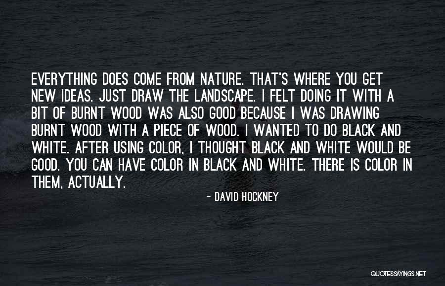 Del Genovese Restaurant Quotes By David Hockney Del Genovese Restaurant Quotes By David Hockney