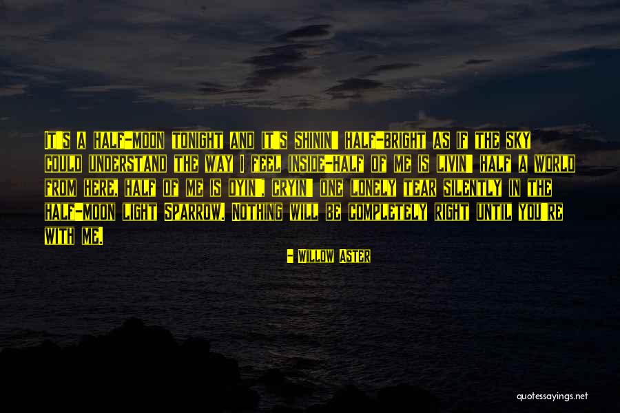 Del Rossi Cheesesteak Quotes By Willow Aster Del Rossi Cheesesteak Quotes By Willow Aster