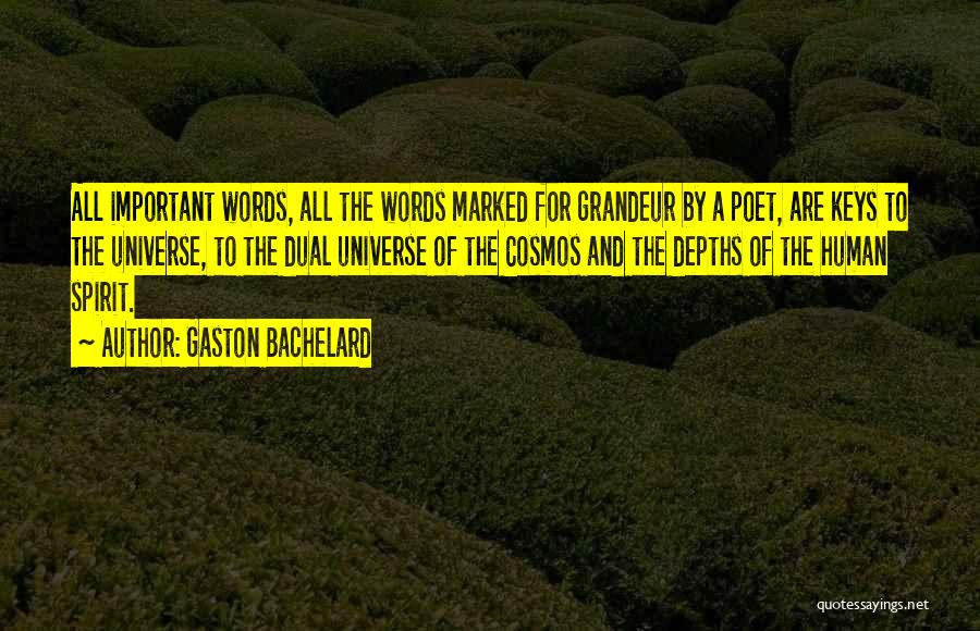 Del Rosso Quotes By Gaston Bachelard