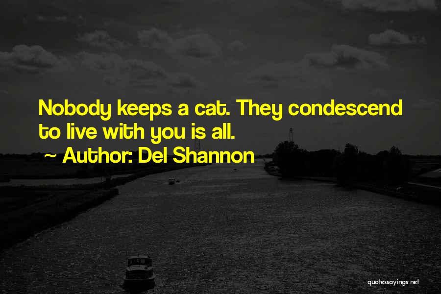 Del Shannon Quotes 372620