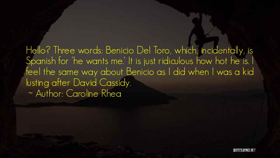 Del Toro Quotes By Caroline Rhea