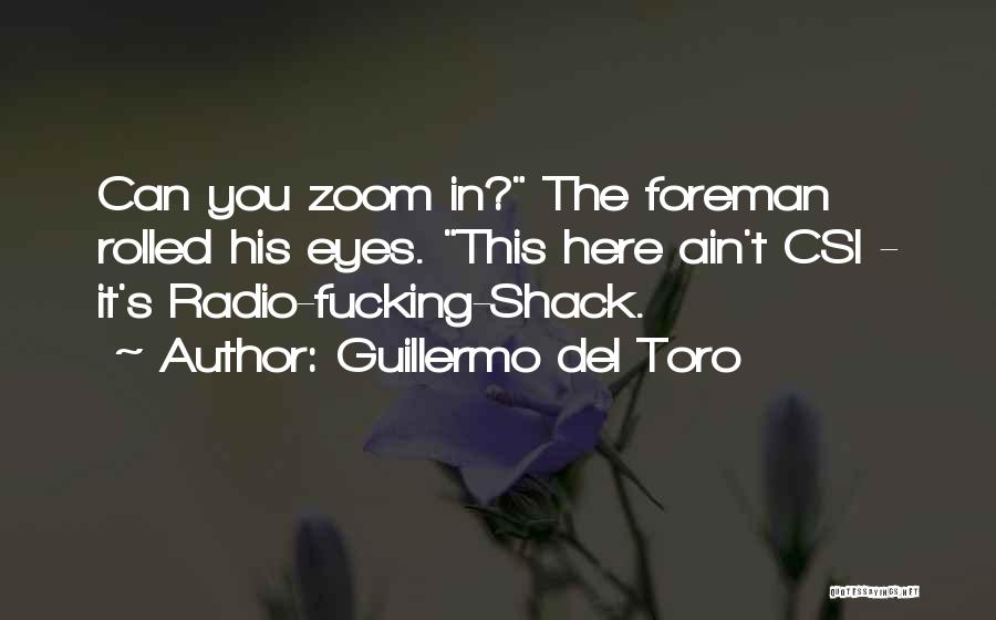 Del Toro Quotes By Guillermo Del Toro