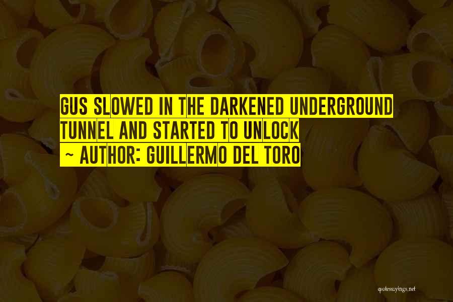 Del Toro Quotes By Guillermo Del Toro