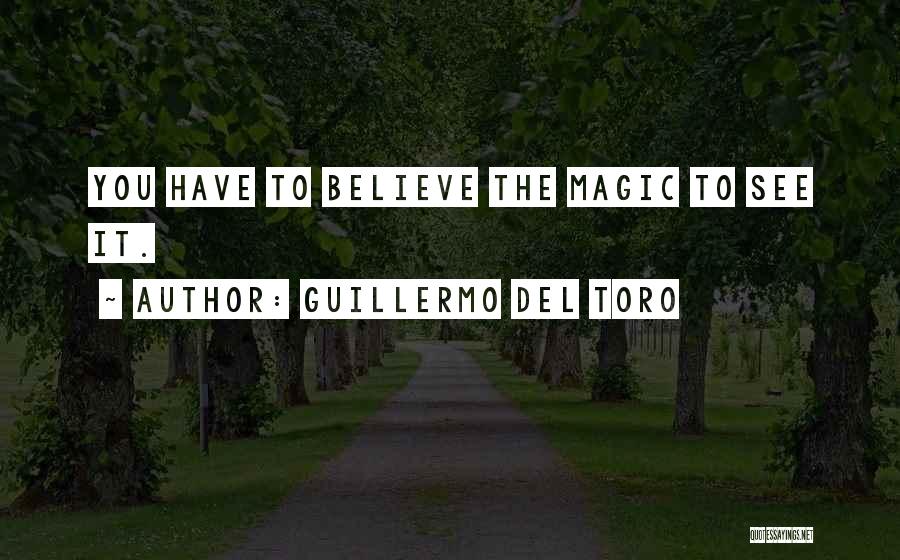 Del Toro Quotes By Guillermo Del Toro