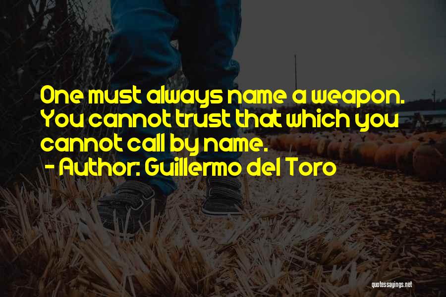 Del Toro Quotes By Guillermo Del Toro